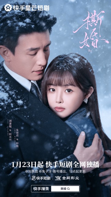 撕婚官方海报